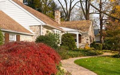 Why Fall and Winter Are a Good Time to Start Planning Your Landscape Redesign